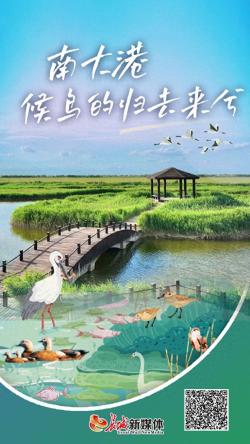 文化中國行｜南大港，候鳥的歸去來兮